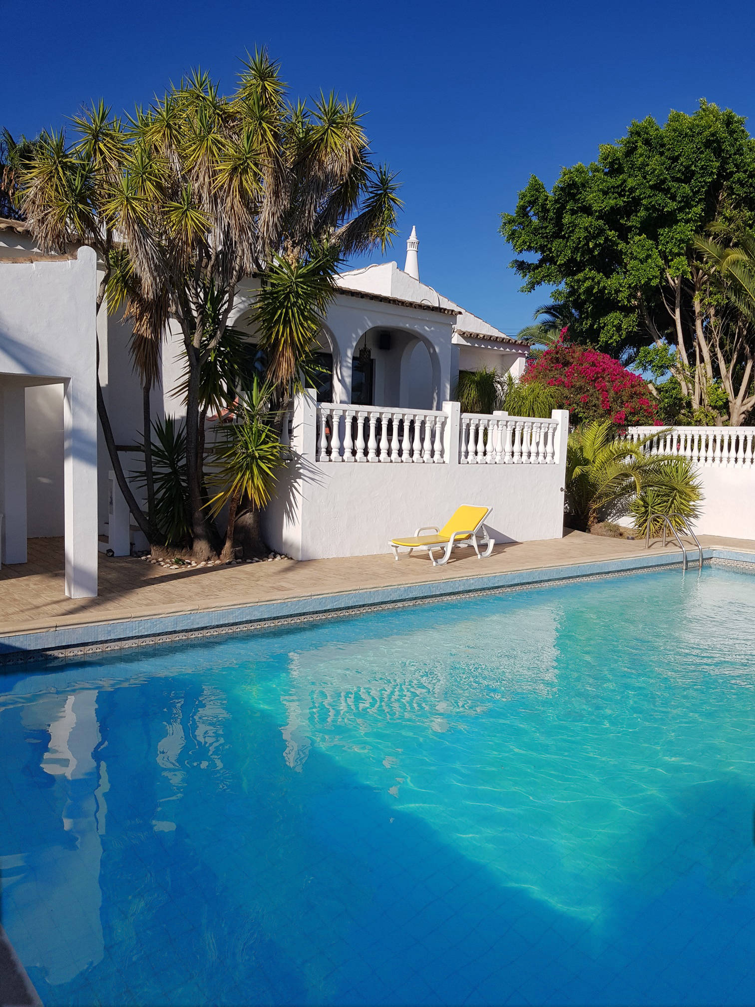 Swimming Pool mit Terrasse